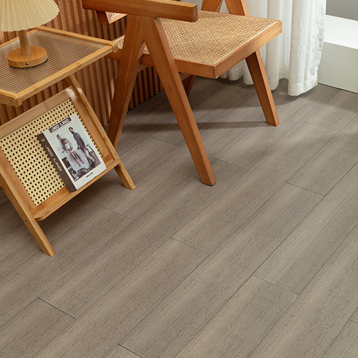 圆盘豆（锦书）