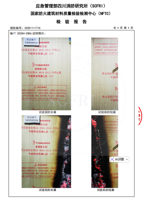 燃烧性能检测报告