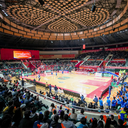 全力以“湖”，拼到最后一刻！兔宝宝为浙BA湖州队加油助威