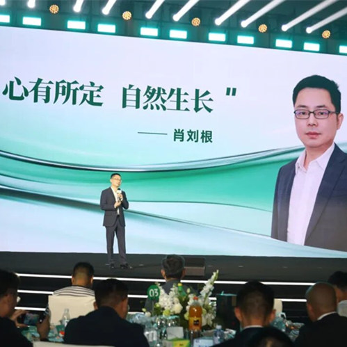 创艺集团2025年度盛典圆满落幕，兔宝宝斩获供应链大奖！