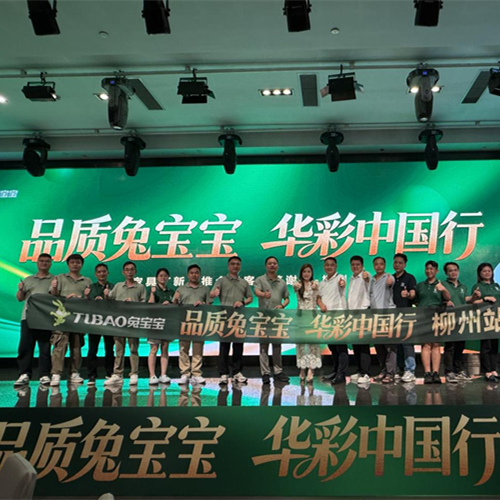 品质兔宝宝 华彩中国行｜赋能广西柳州家居产业，携手合作伙伴共启新篇