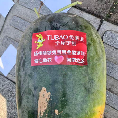 情系桑梓，兔宝宝全屋定制扬州商城店爱心助农解乡愁